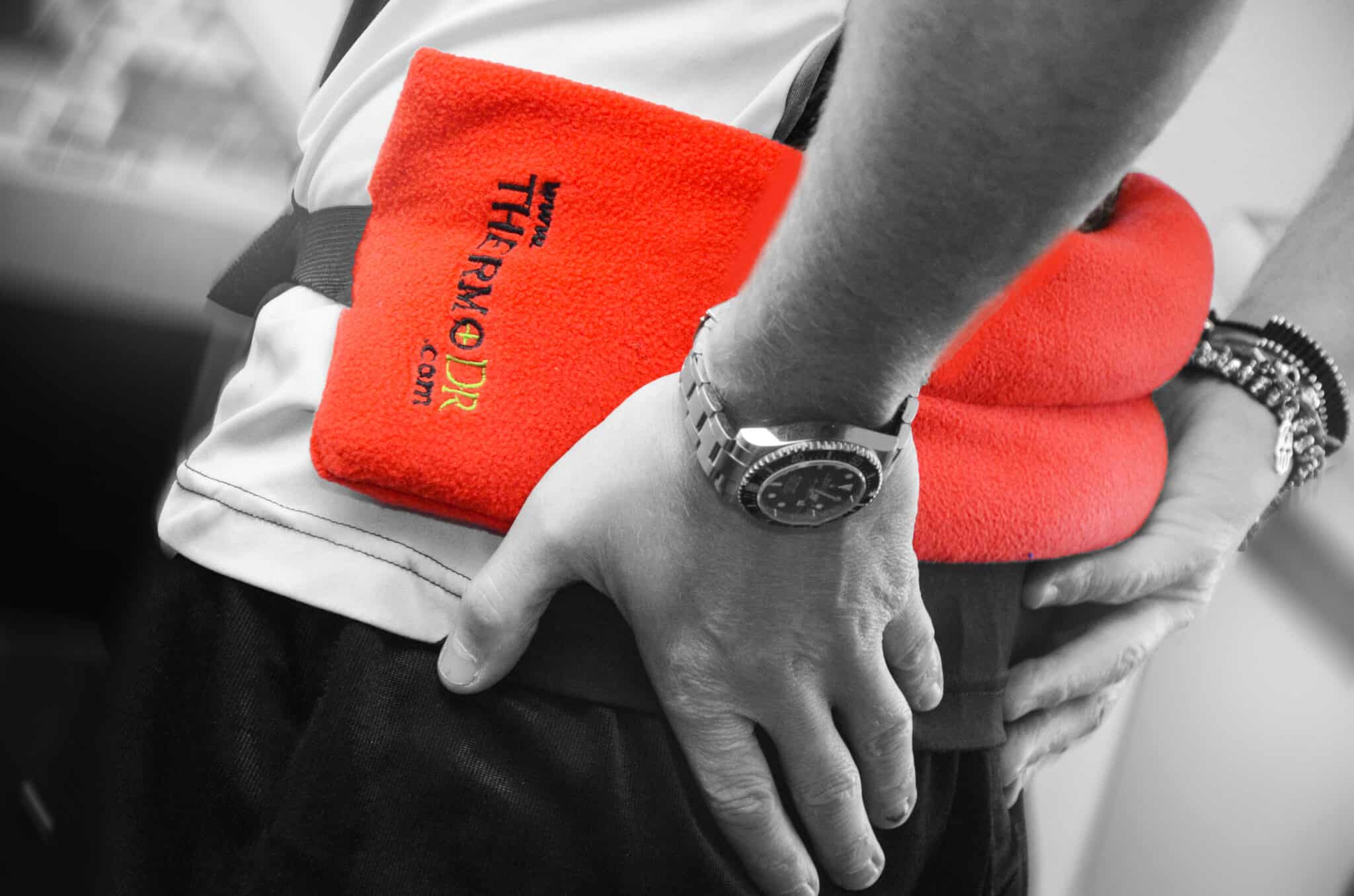 Winner small image - ThermoDR